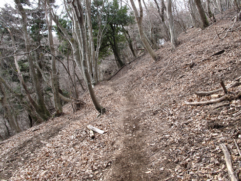 20170113hike (87)